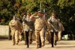 Nvrat profesionlnych vojakov z vojenskej opercie UNFICYP na Cypre a EUTM v Mali